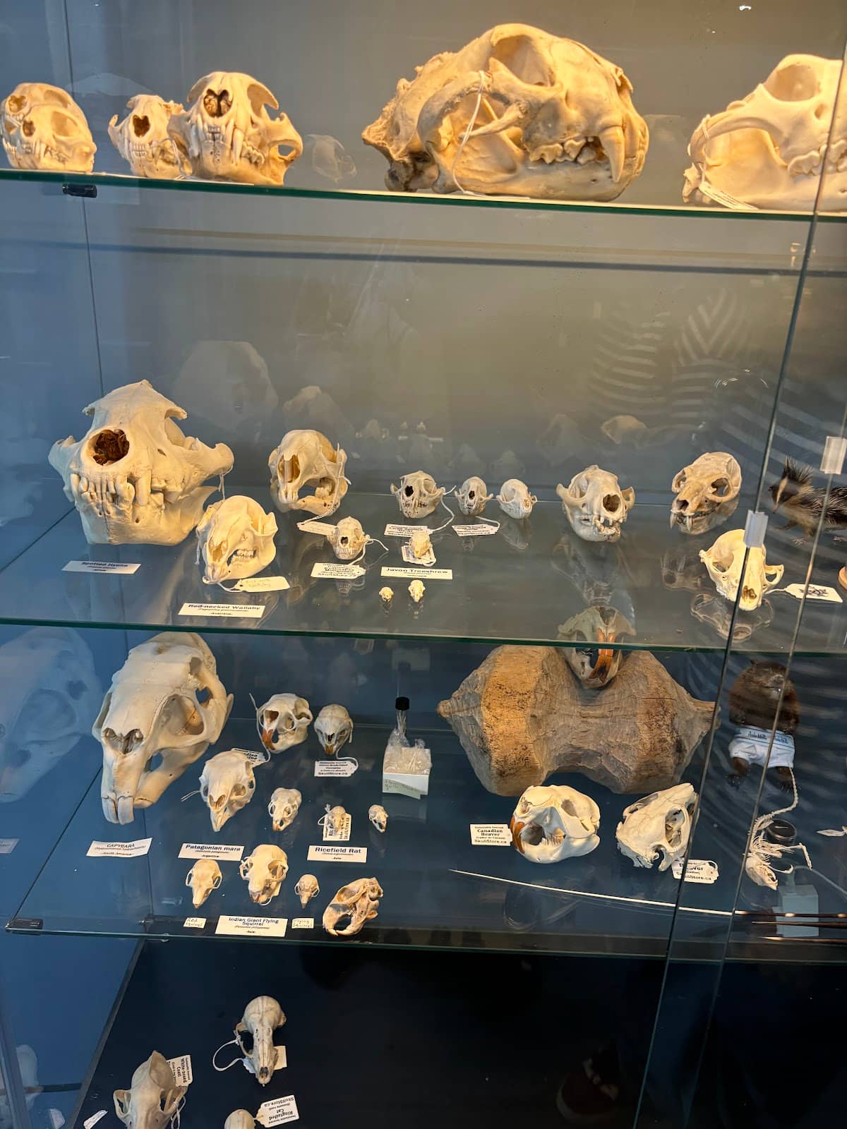 Knowledgeable Guided Tours