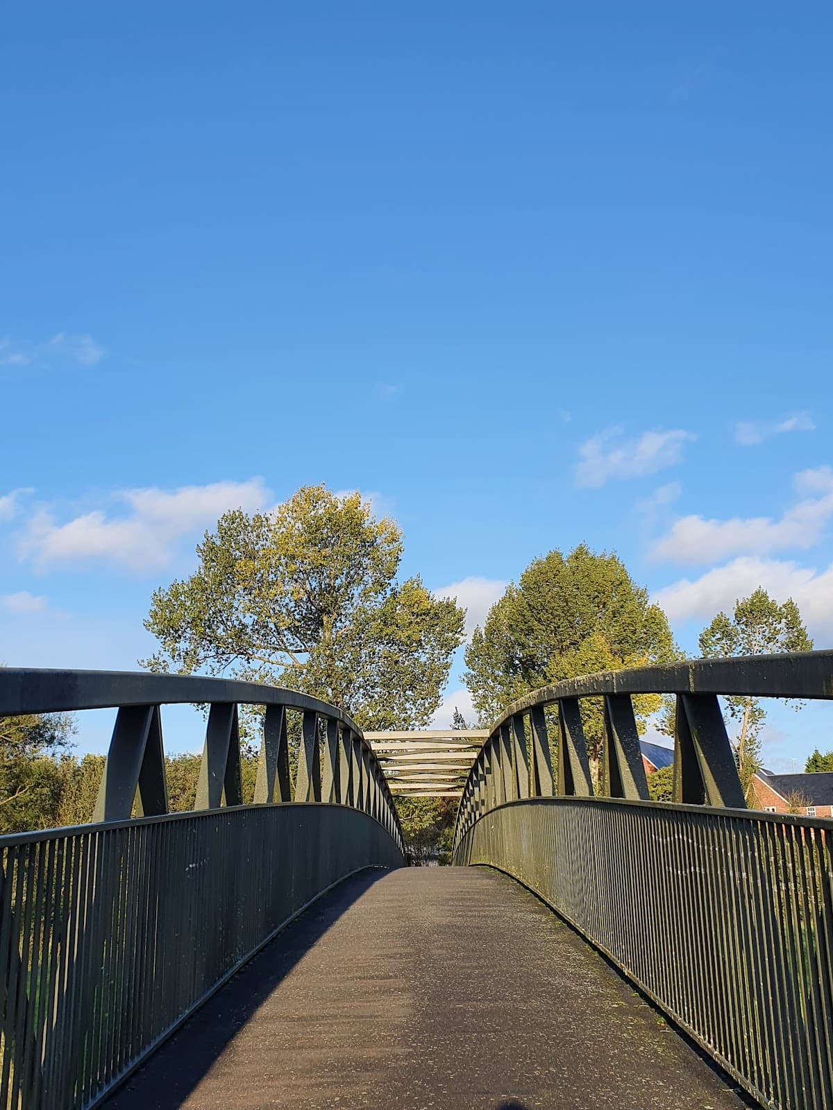 Coleridge Bridge - Image 1
