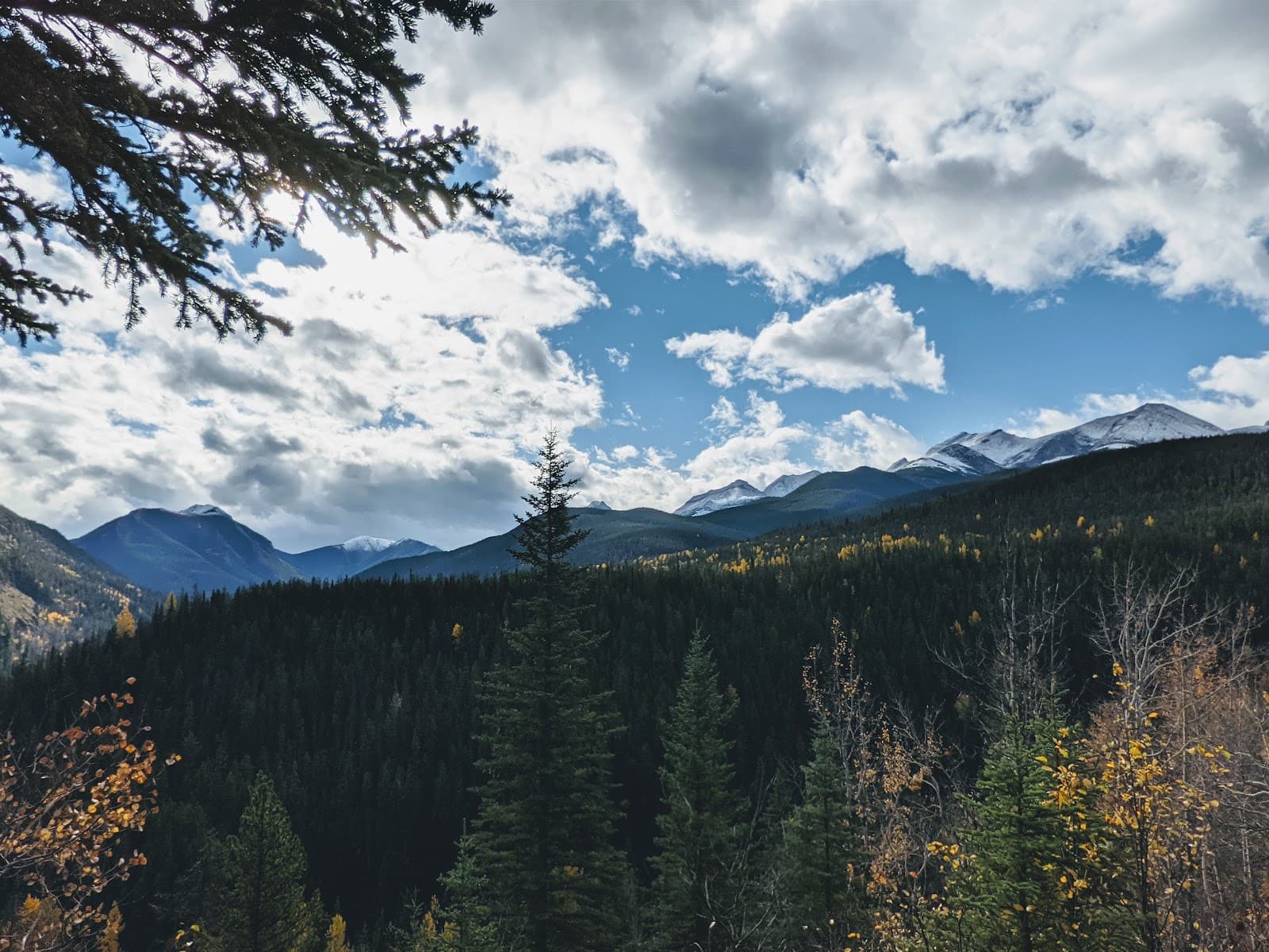 Miette Valley Jasper National Park - Image 1