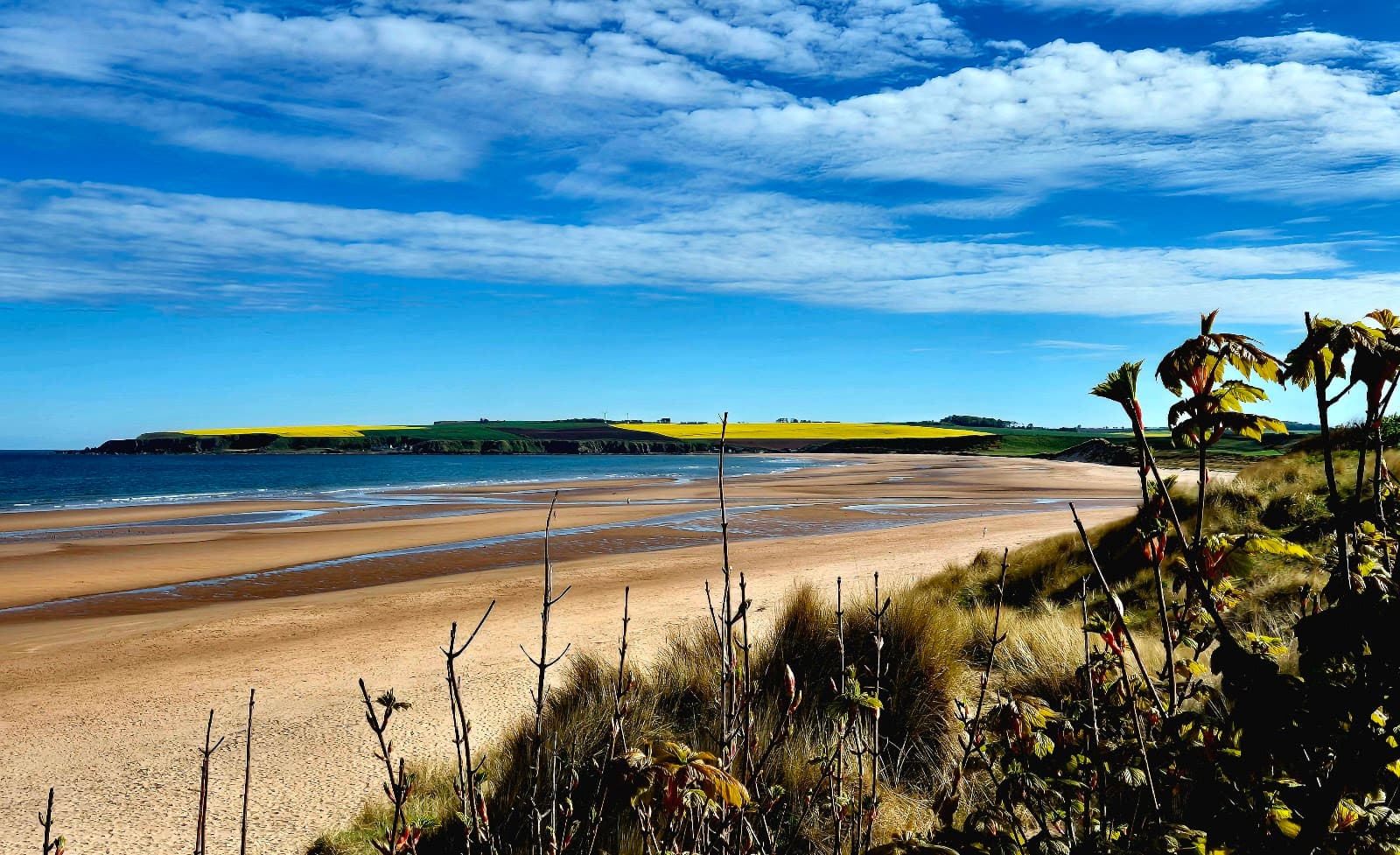 Lunan Bay Beach - Image 1