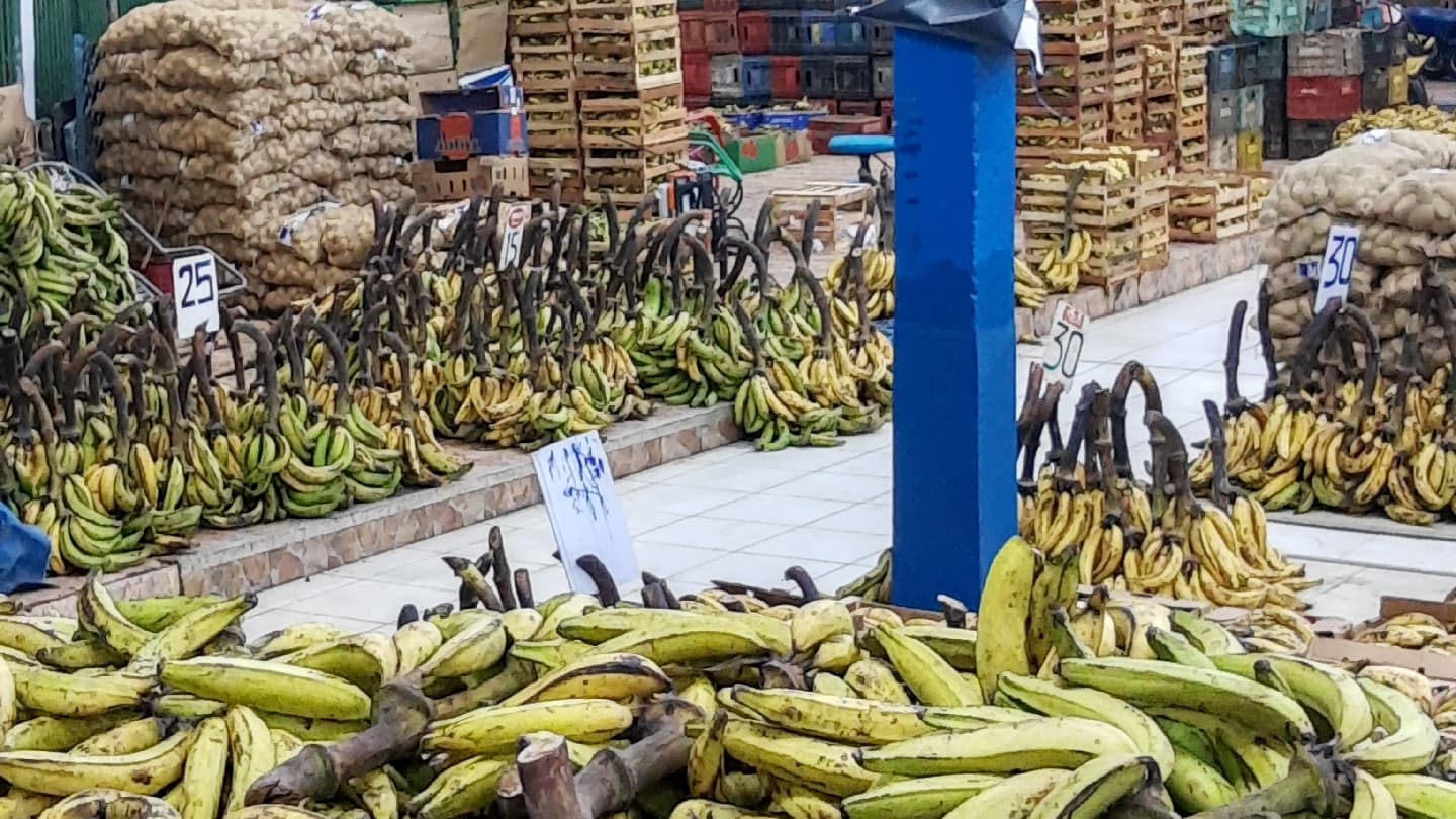 Banana Market - Image 1