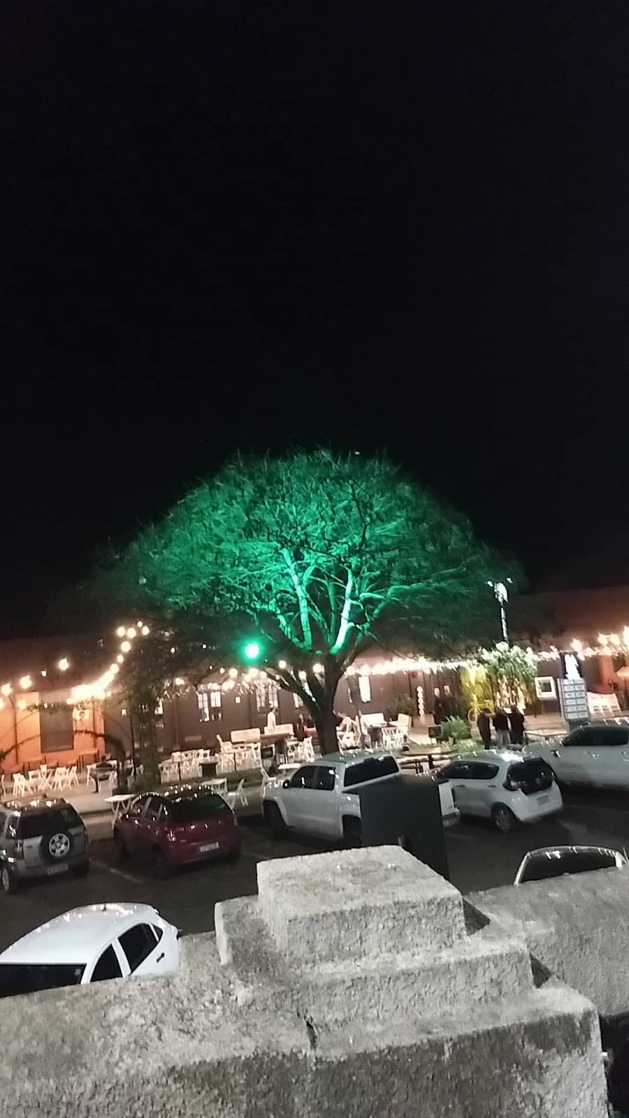 Vertical photo