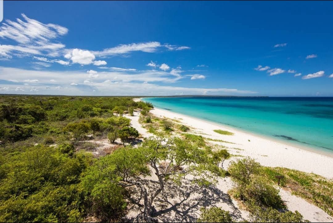 Águilas Beach - Image 1