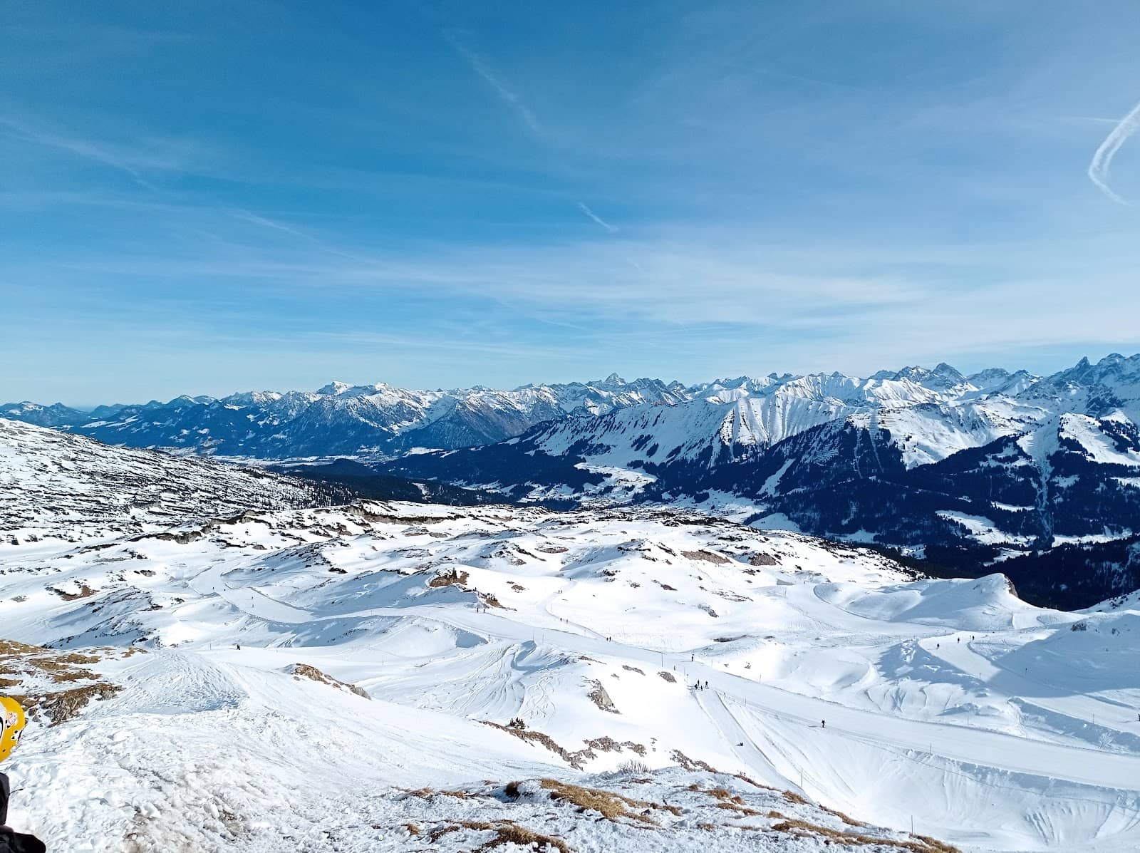Idyllic Forest Trails