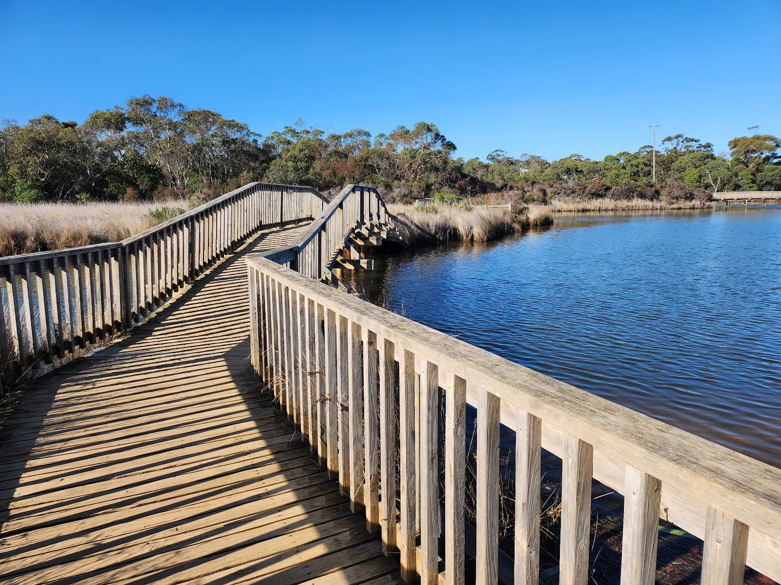 Anglesea River and Coogoorah Park - Image 1