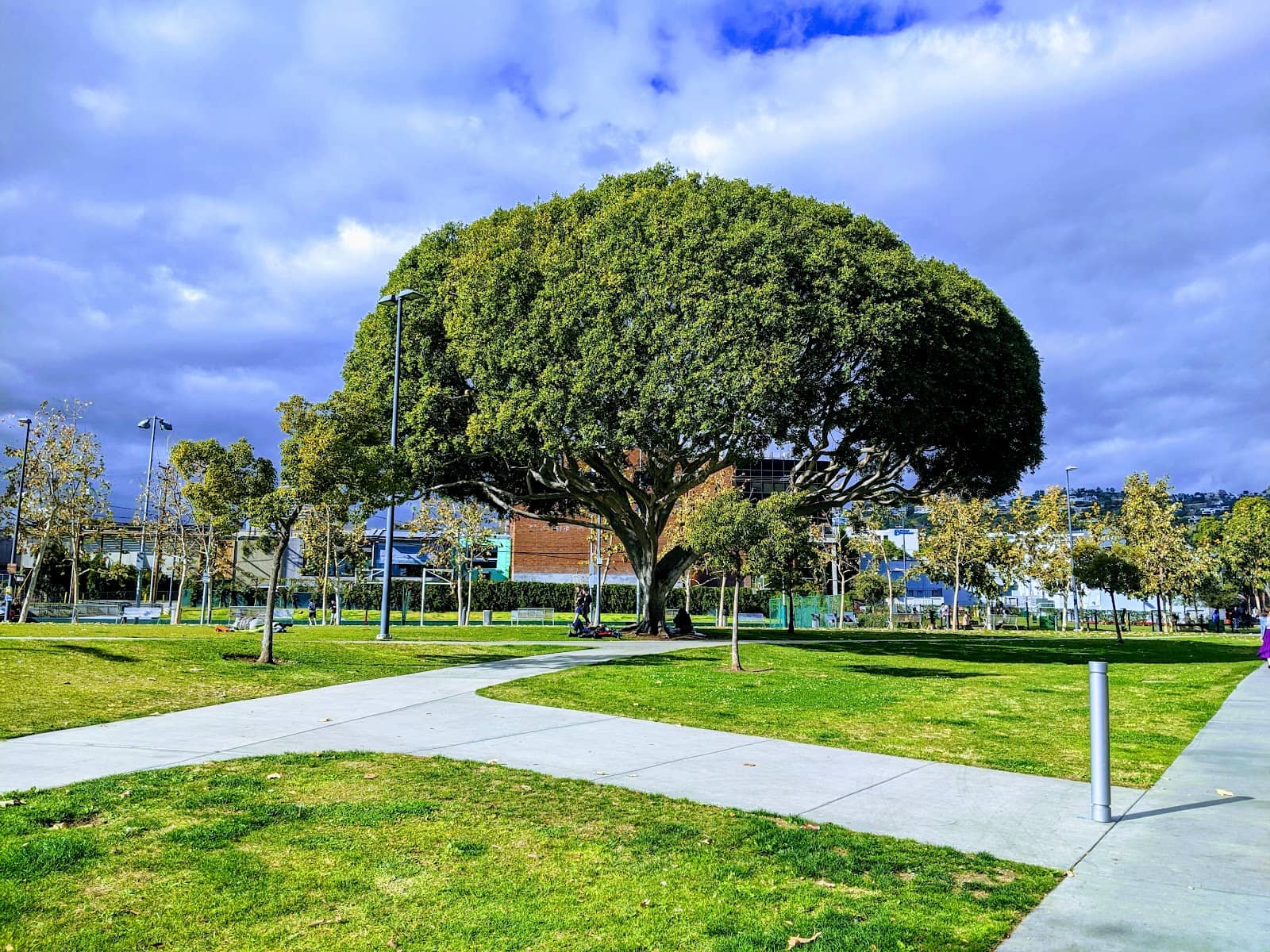 Expansive Green Spaces