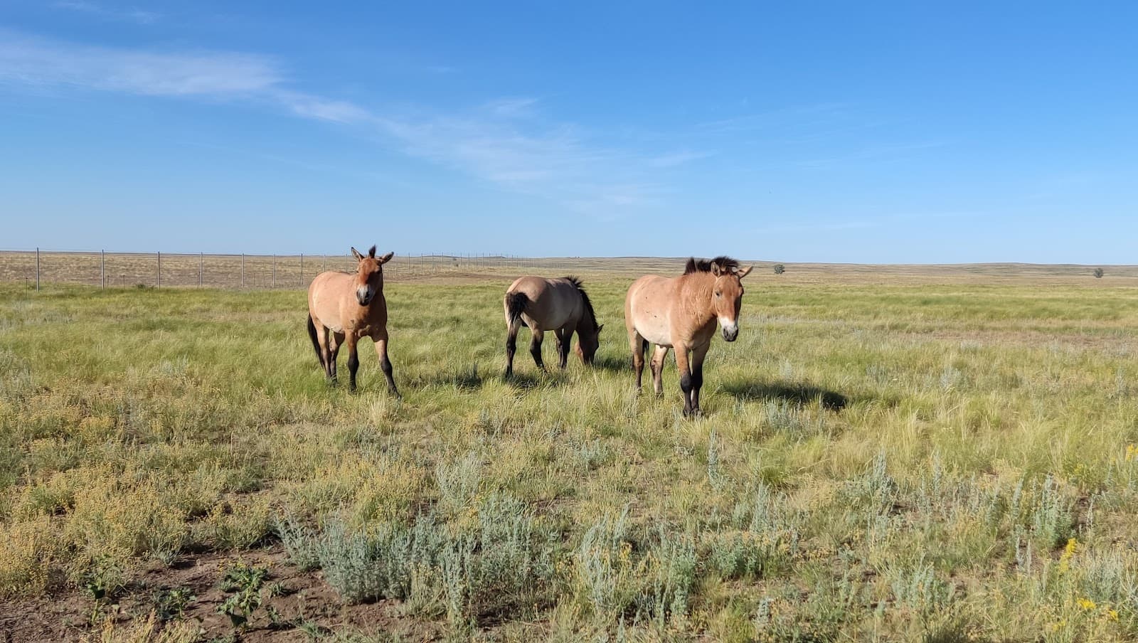 National Village of Orenburg Governorate - Image 1