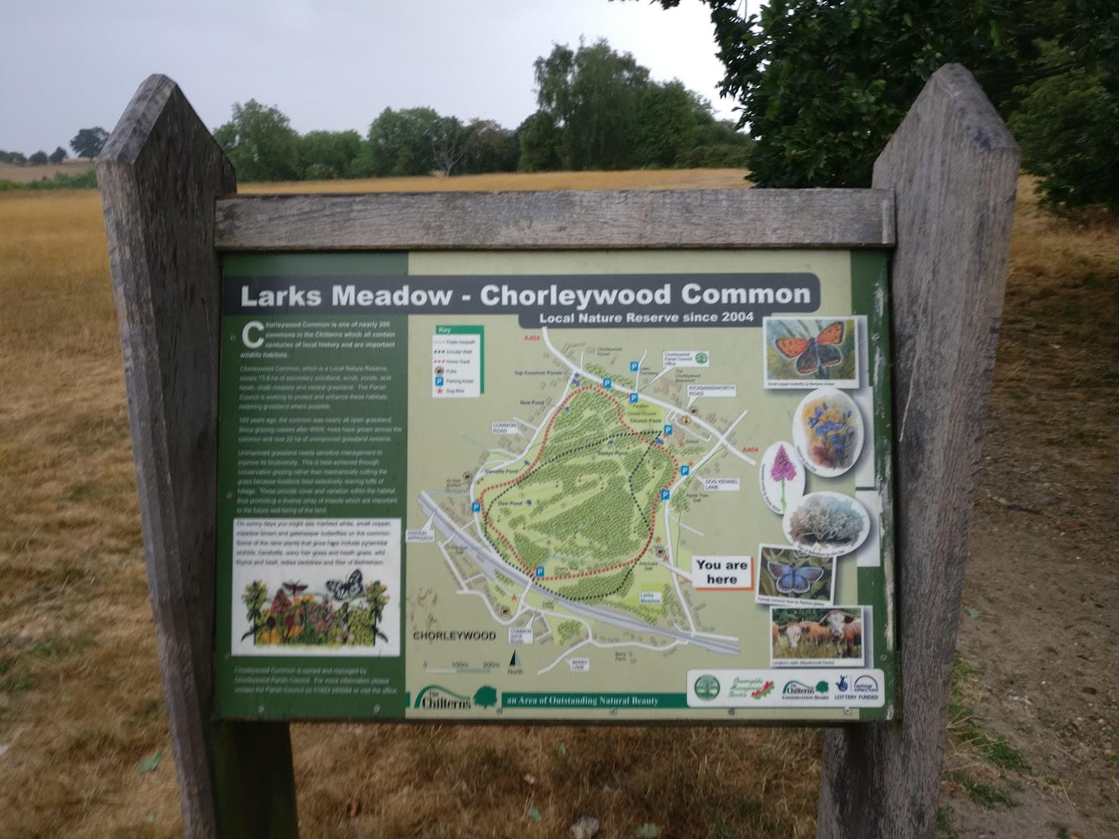 Chorleywood Common - Image 1