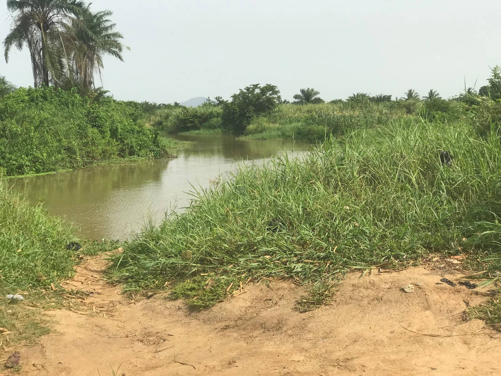 Local Fishing Communities