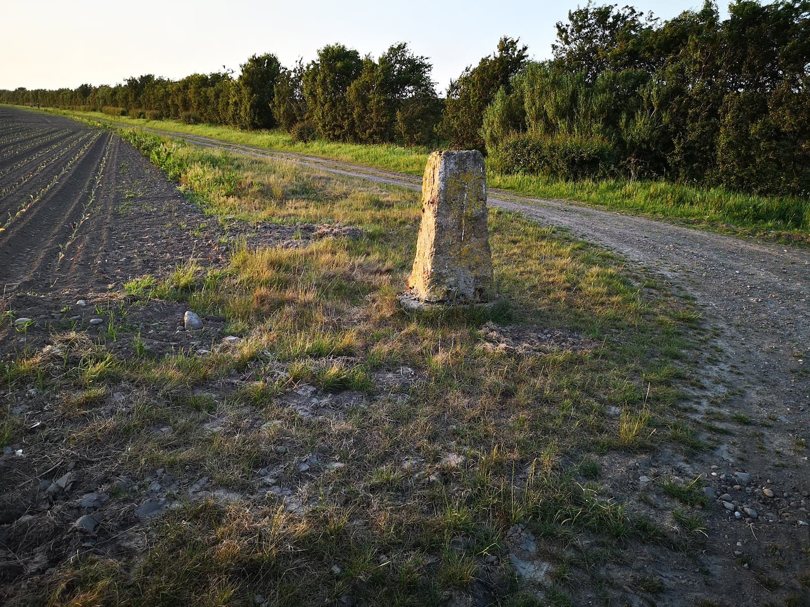 Ribble Estuary National Nature Reserve - Image 1
