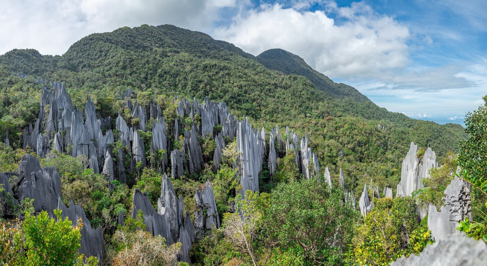 The Pinnacles (Mulu) - Image 1