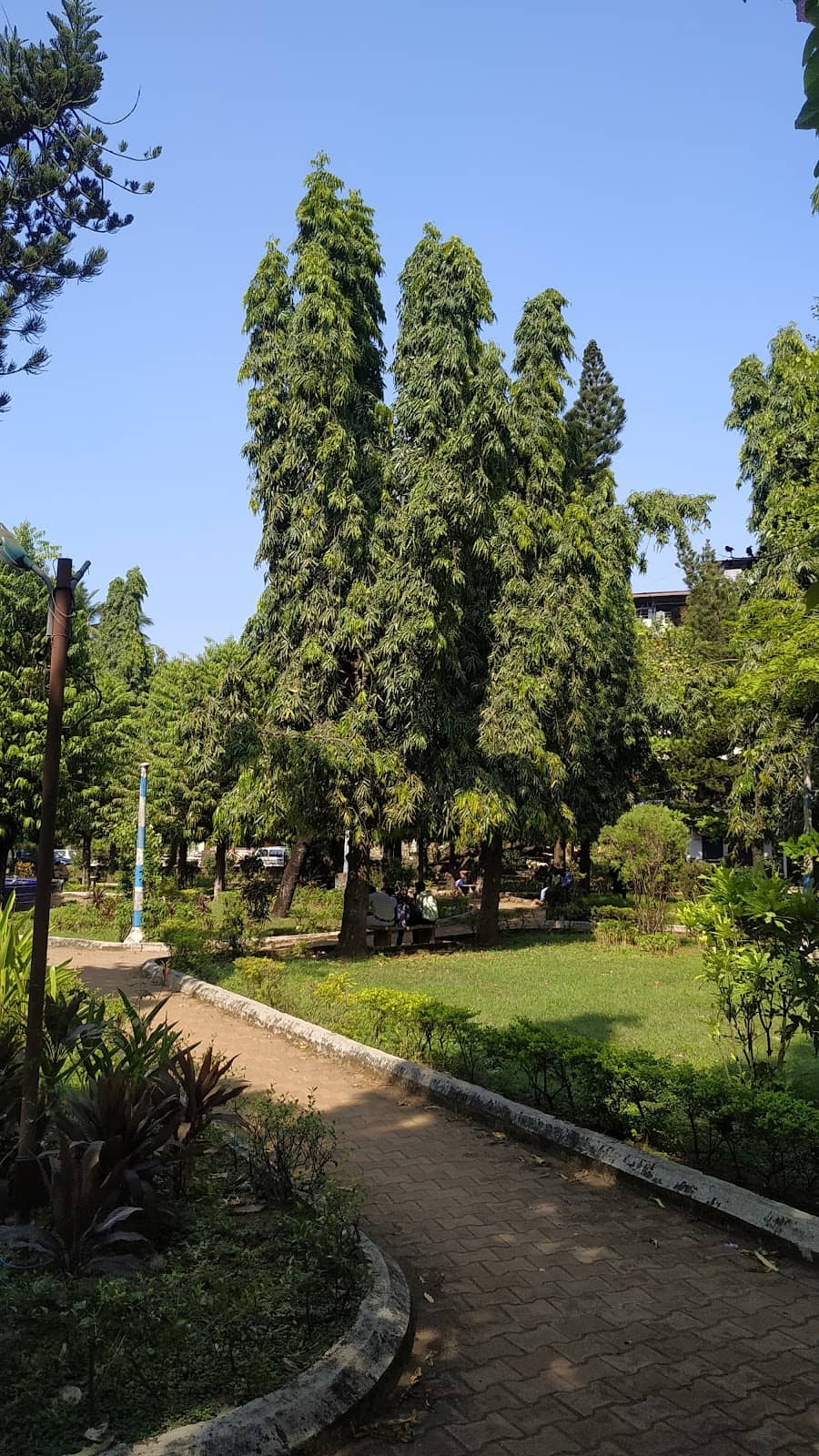 Greenery & Relaxation