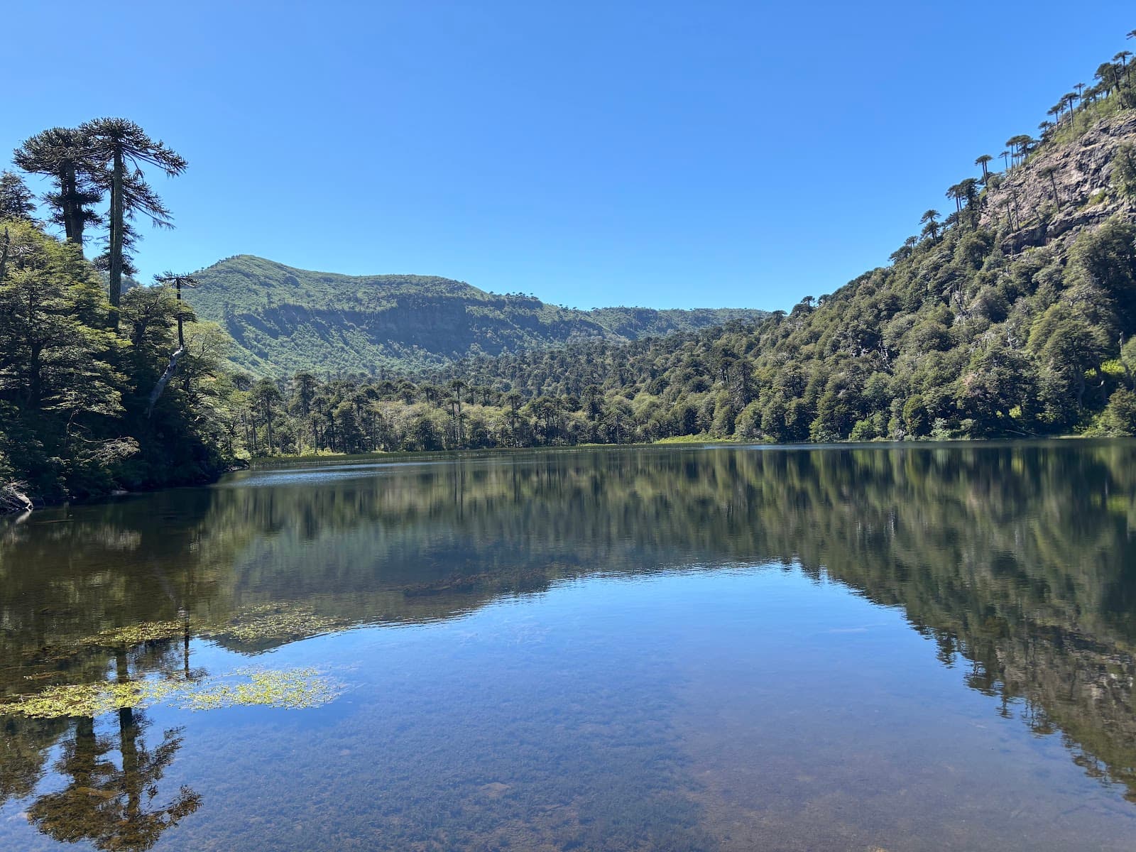 Parque Nacional Tolhuaca - Image 1