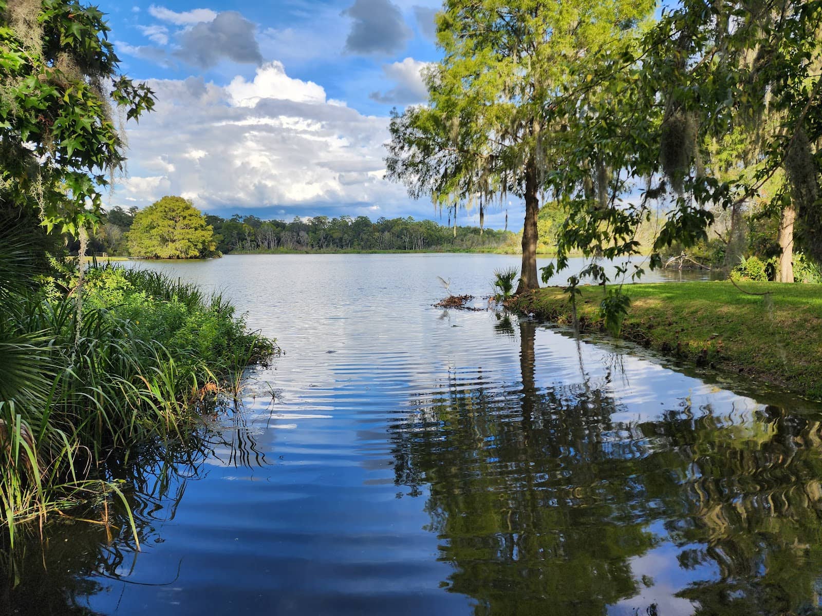 Scenic Boardwalk & Trails