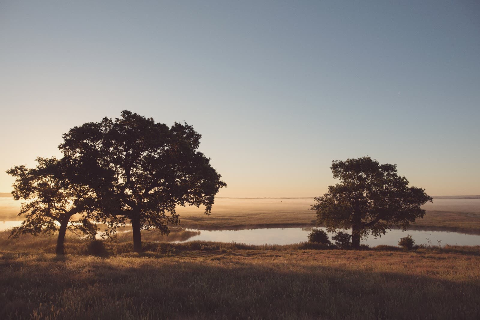 Elmley National Nature Reserve - Image 1