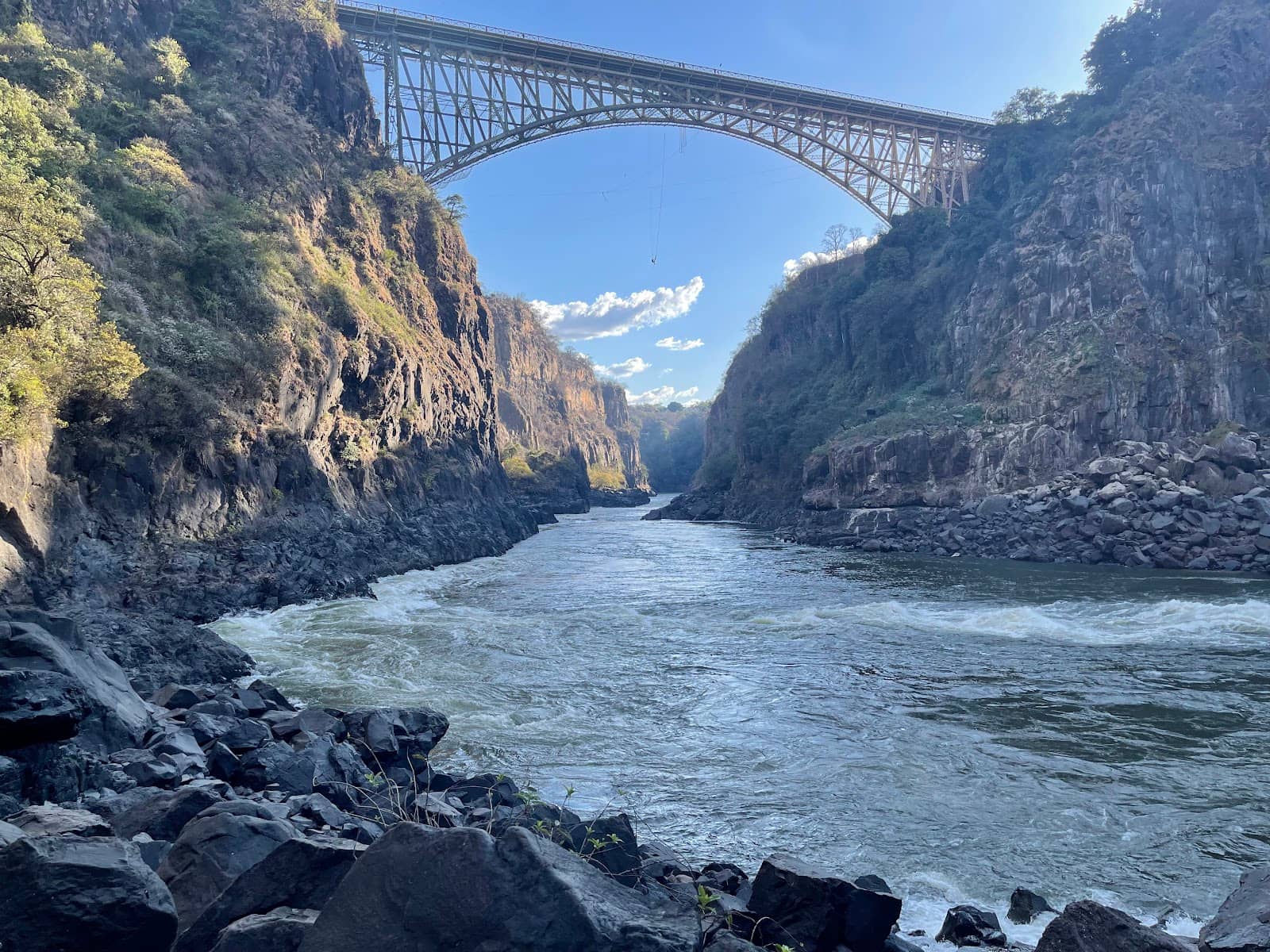 The Rainforest Trail