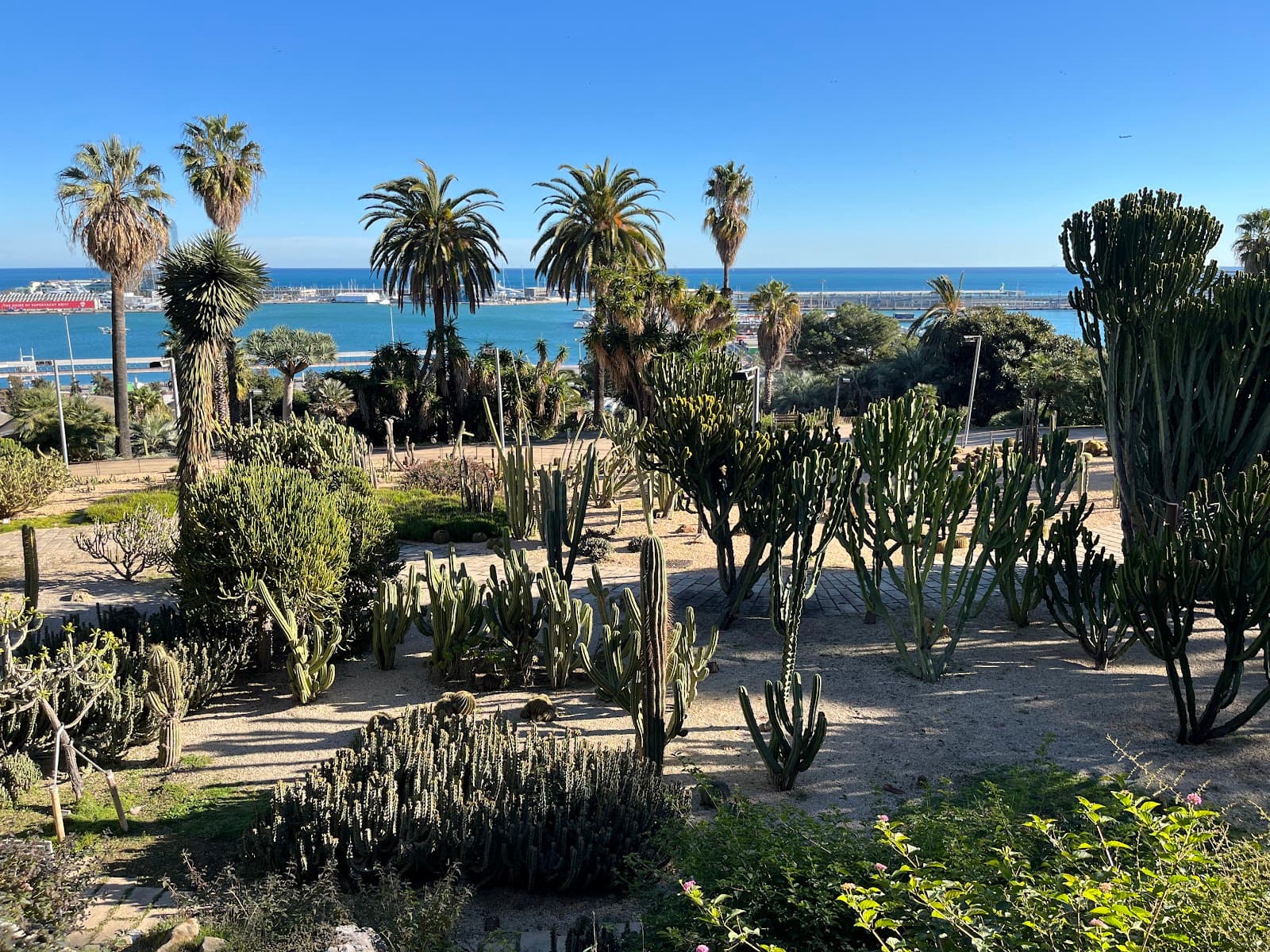 Jardins de Mossèn Costa i Llobera - Image 1