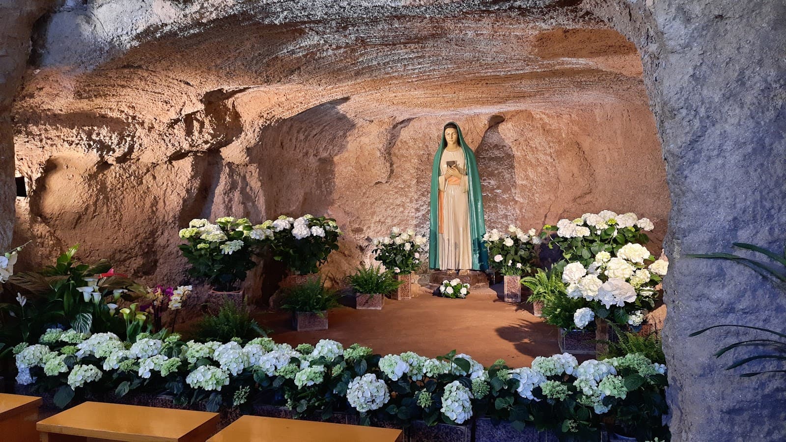 Parco degli Eucalipti - Image 1