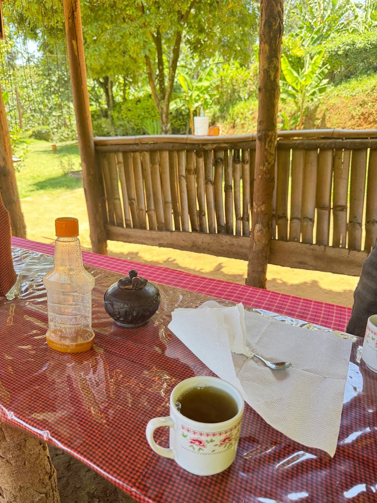 Nkoaranga Coffee Tour - Image 1