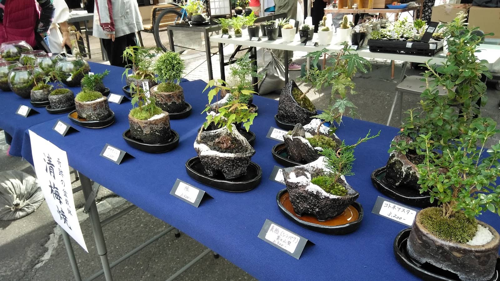 Traditional Architecture