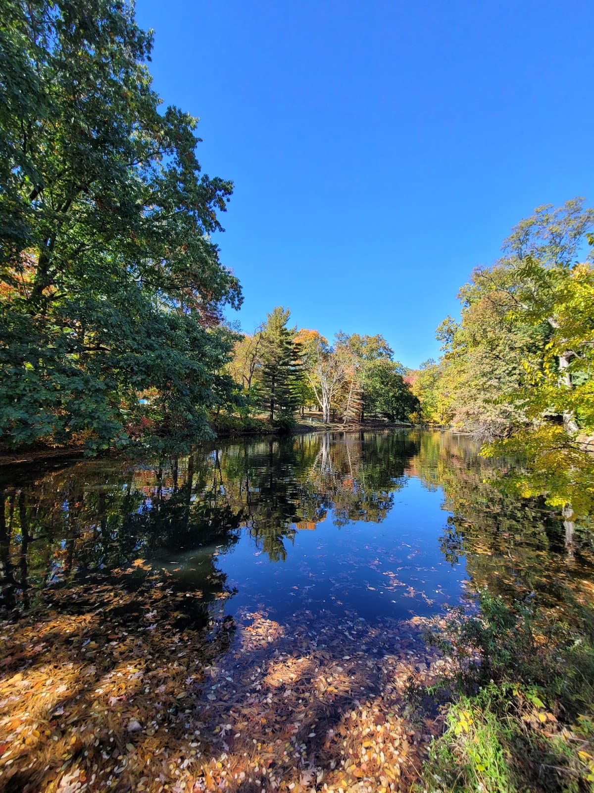 Crandall Park - Image 1