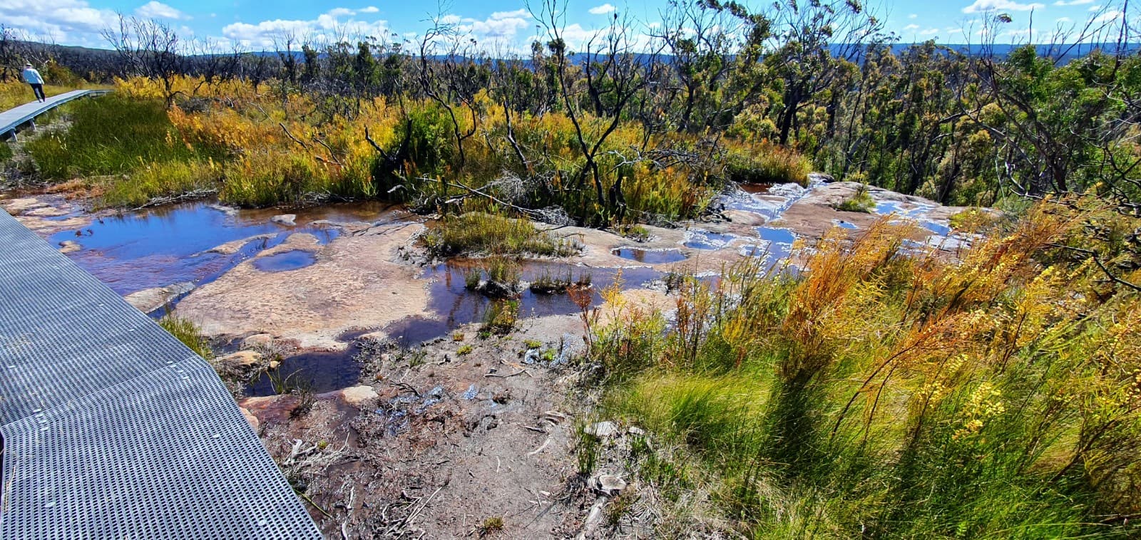 Mount Bushwalker Track - Image 1