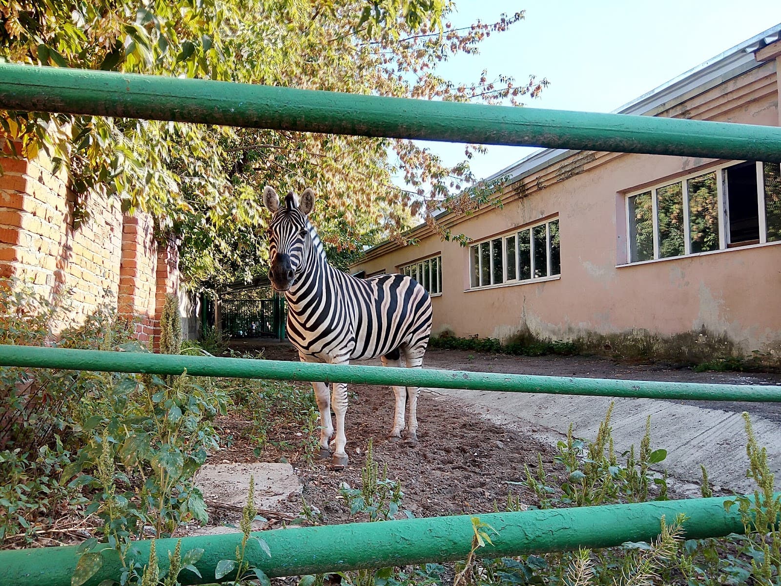 Kazan Zoological and Botanical Garden - Image 1
