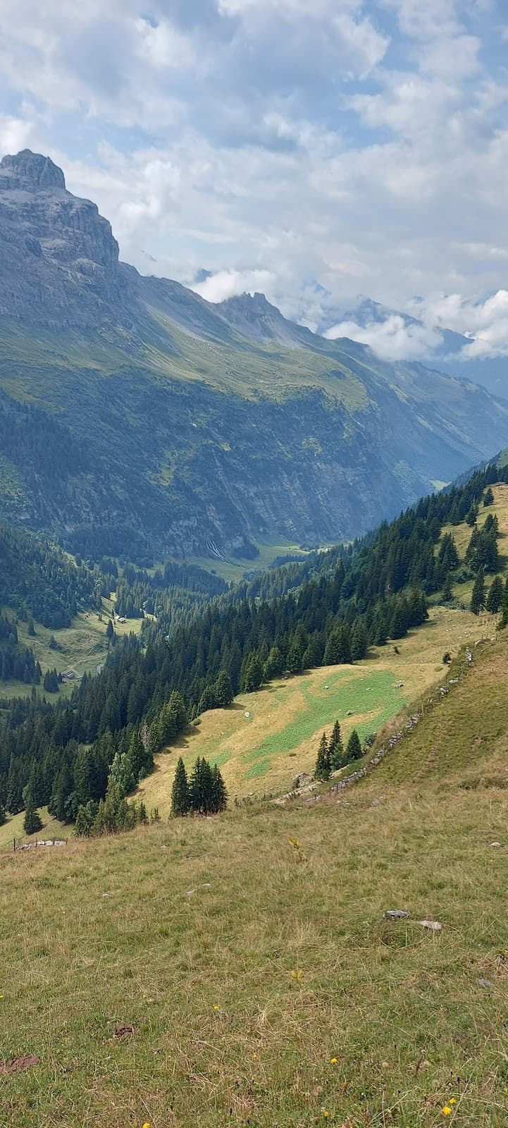 Engstlenalp - Image 1