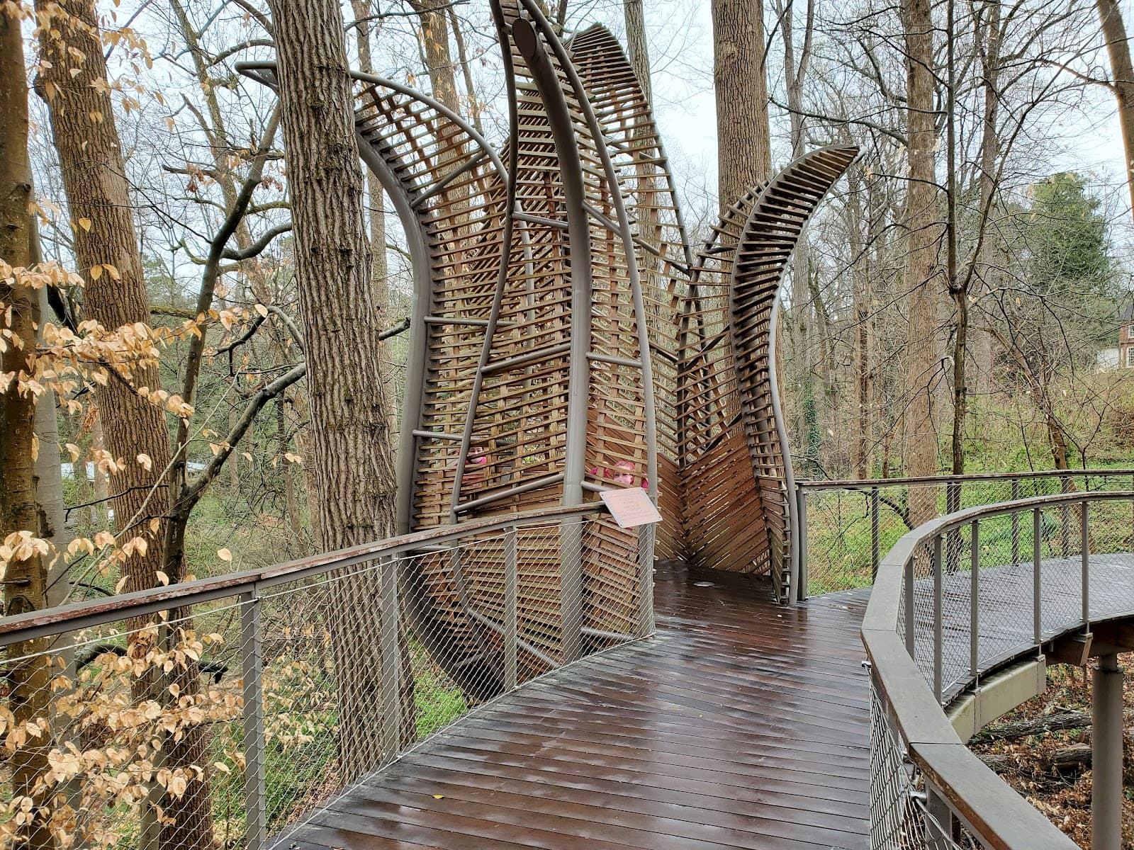 Fernbank Forest - Image 1