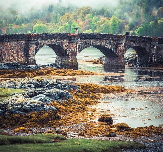 Wonderful Bridges - Image 1