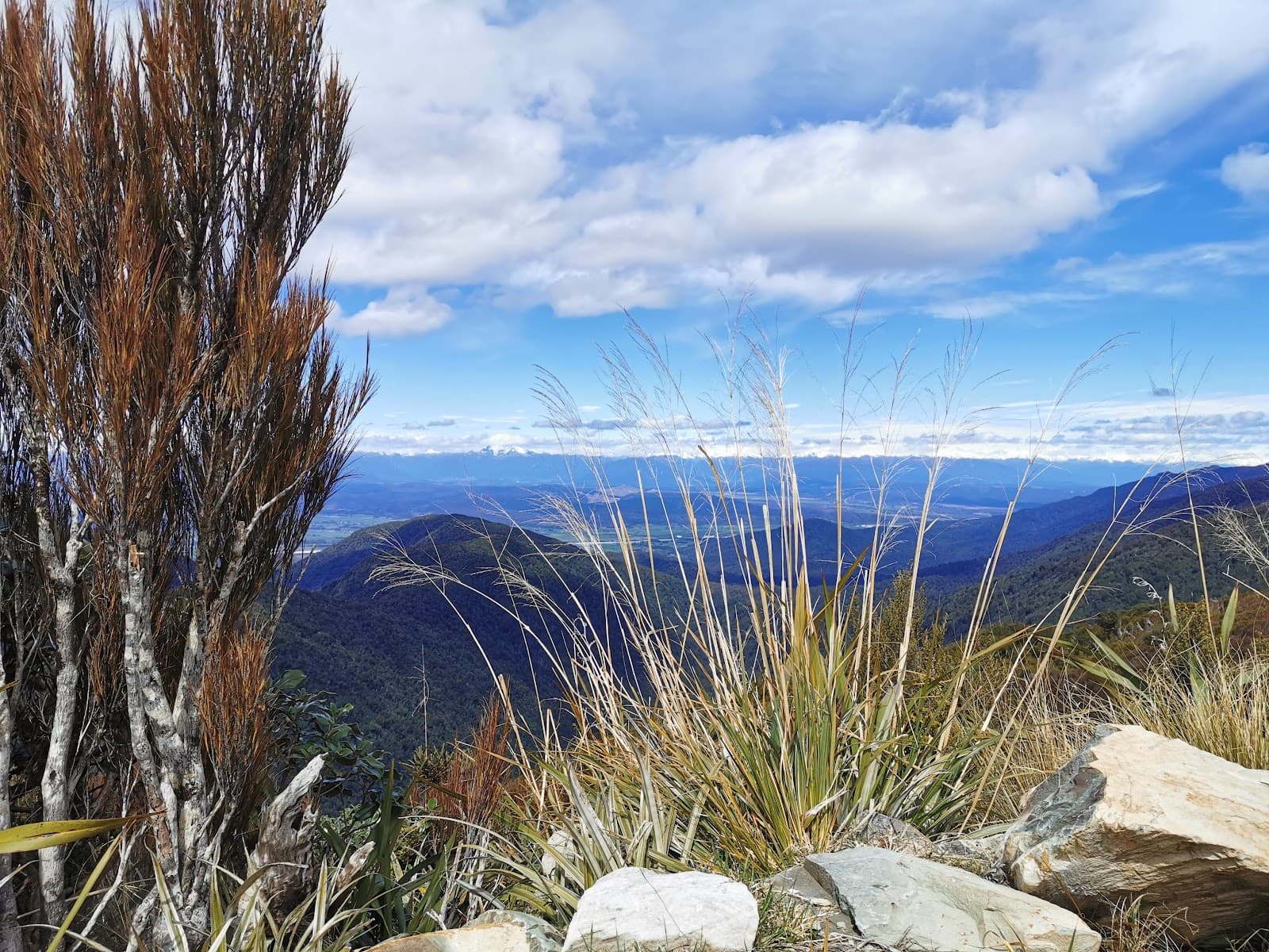 Croesus Track (Blackball) - Image 1