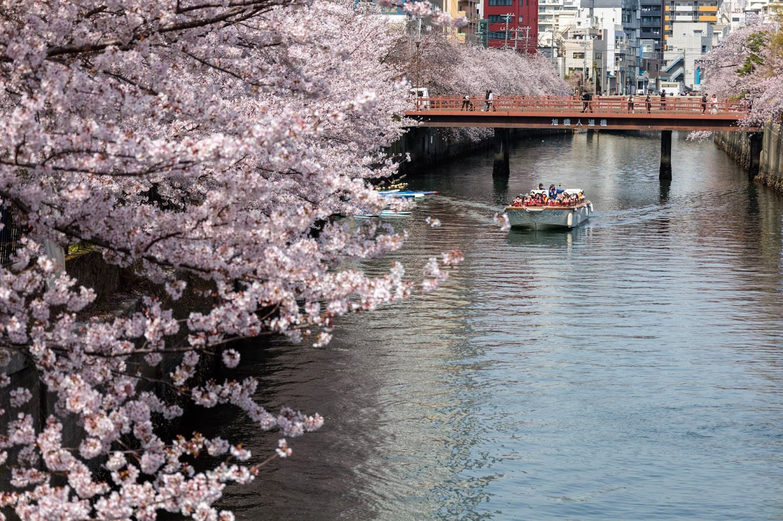 Ooka River Promenade - Image 1