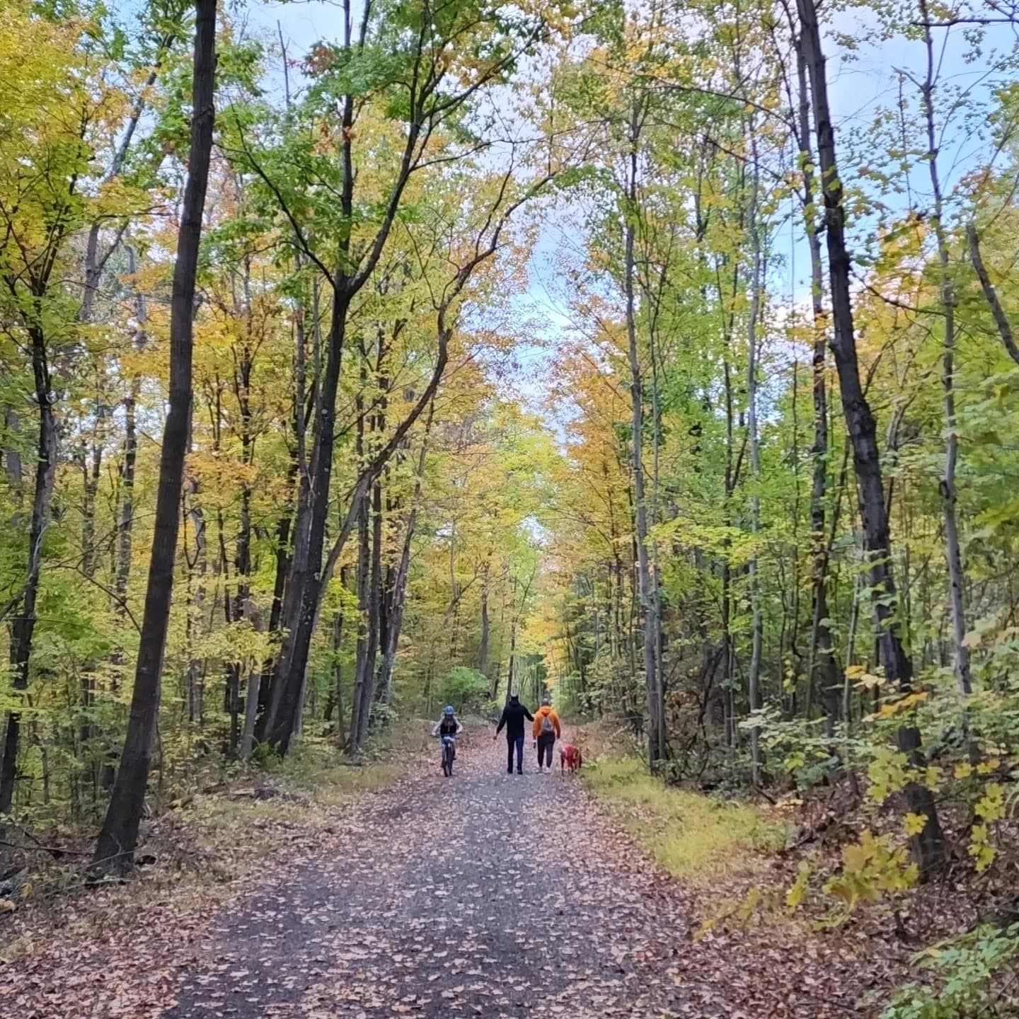 Sojourner Truth Park - Image 1