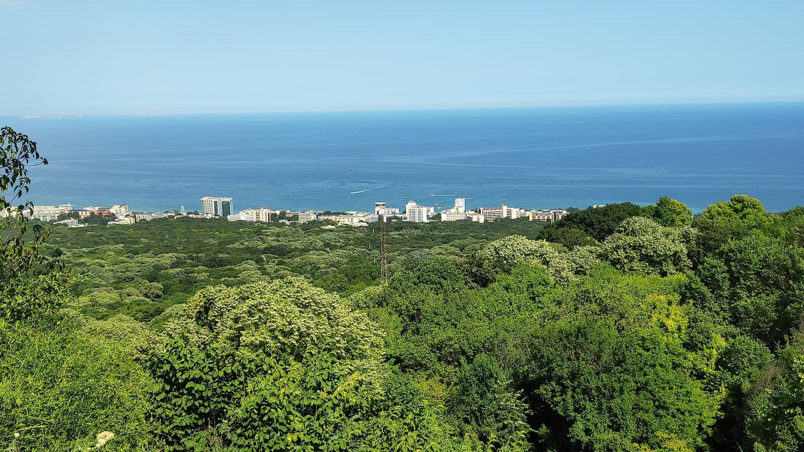 Panoramic Sea Vistas