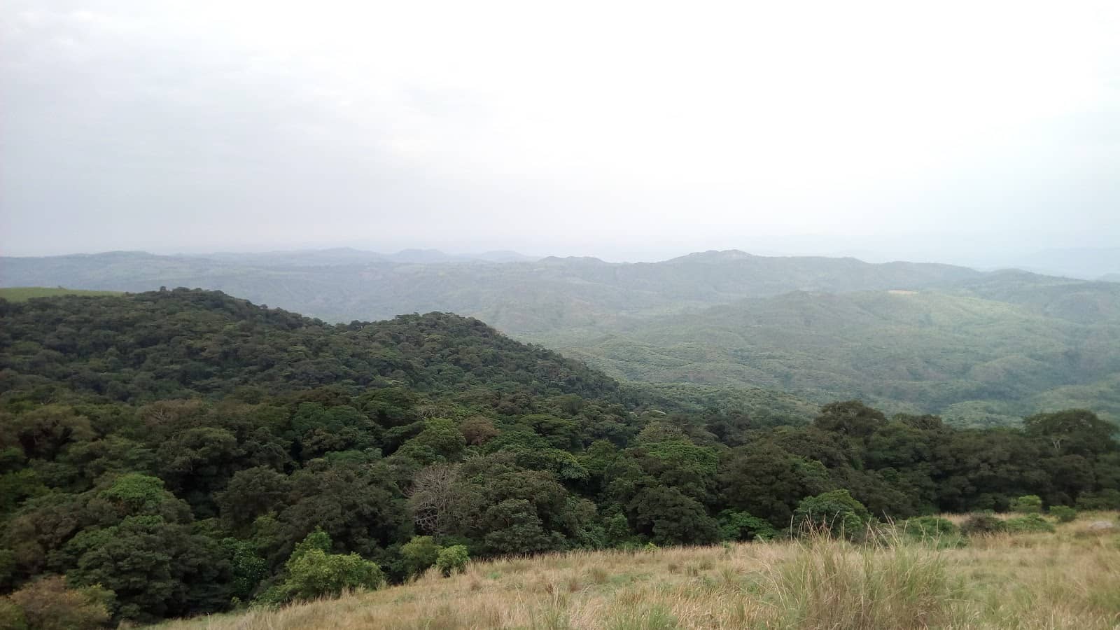 Biodiversity Hotspot