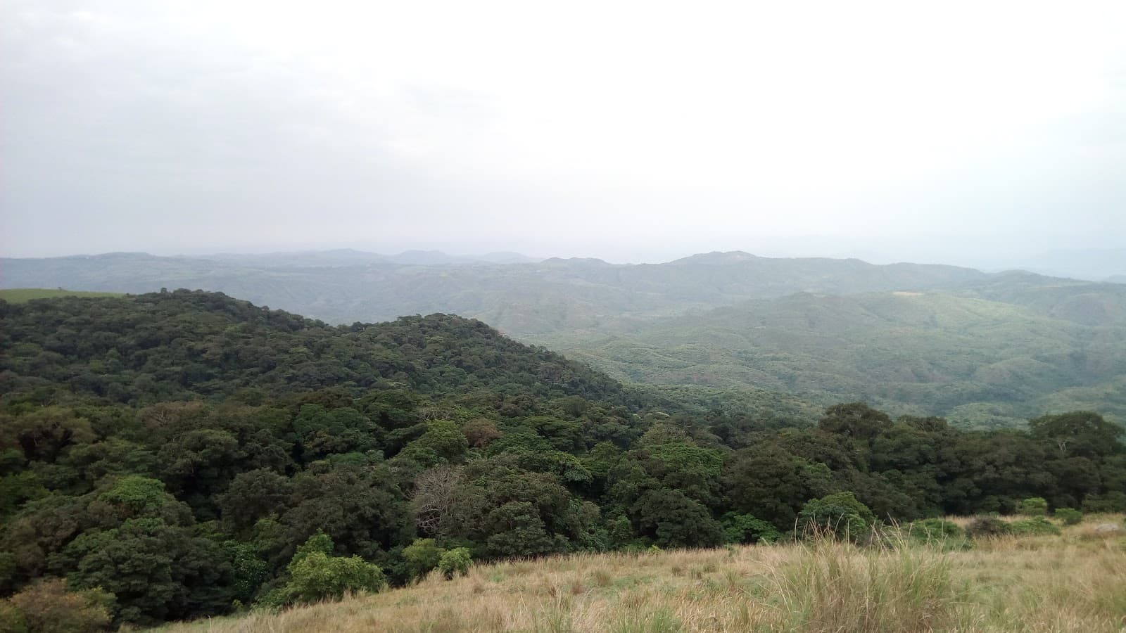 Ngel Nyaki Forest Reserve Mambilla Plateau - Image 1