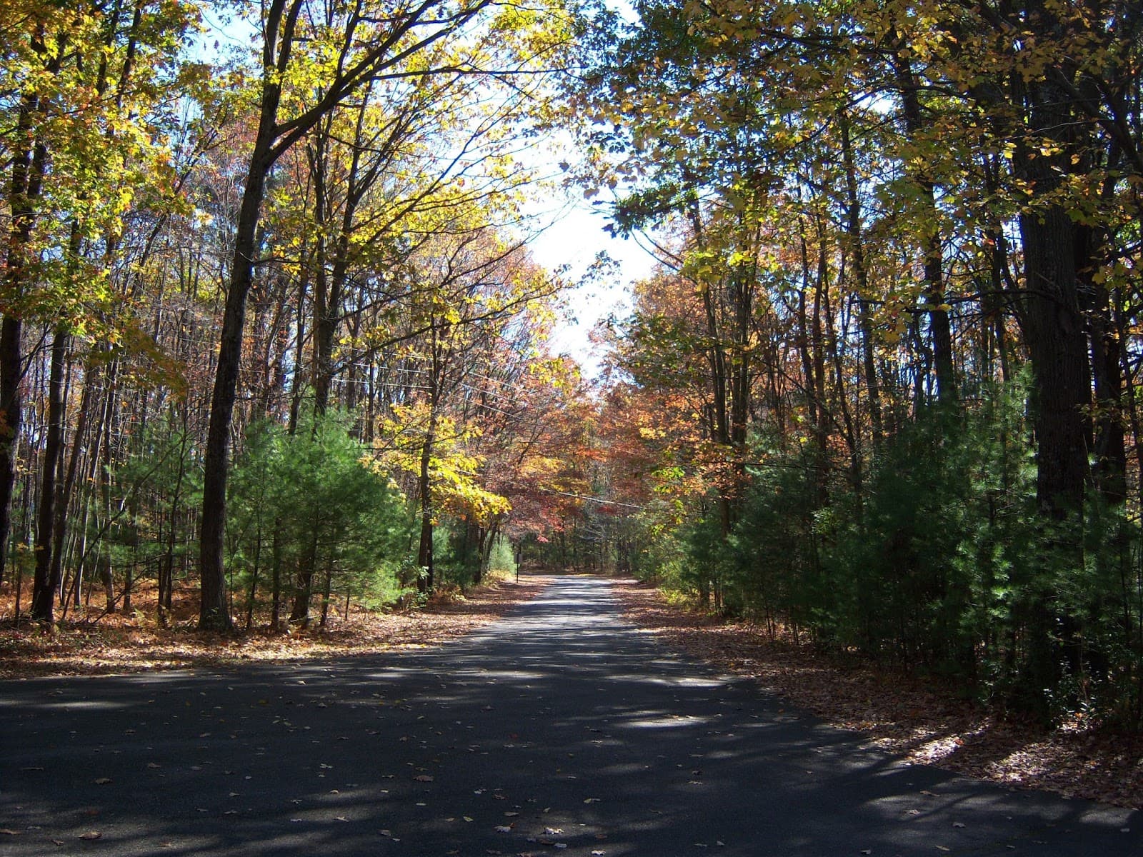 Beltzville State Park - Image 1