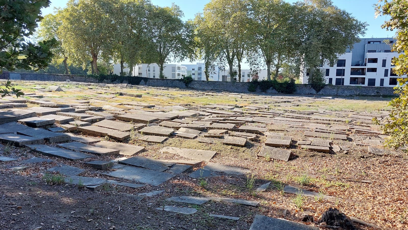 Cimetière juif de Saint-Esprit - Image 1