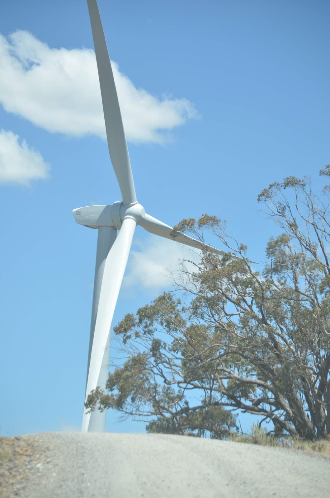 Gullen Range Wind Farm Viewing Area - Image 1