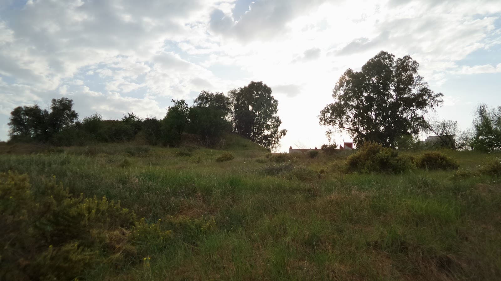 Cabezo de la Joya Archaeological Site - Image 1
