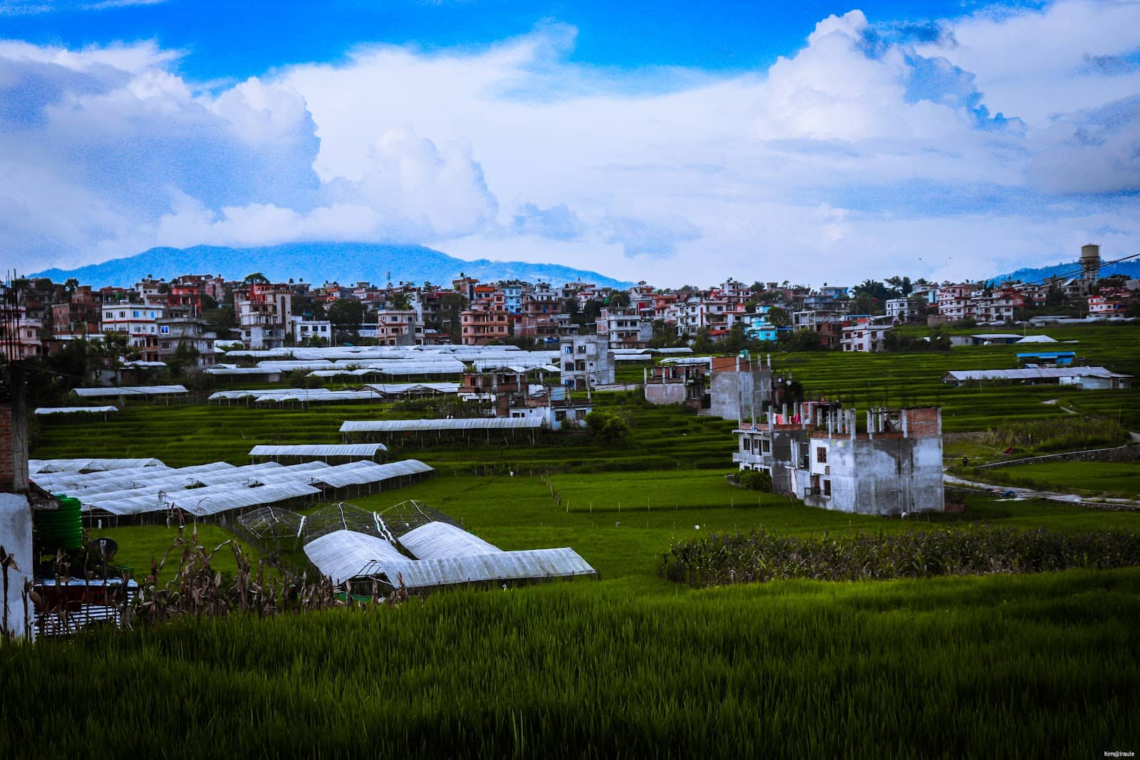 Lakhey Dance Performances