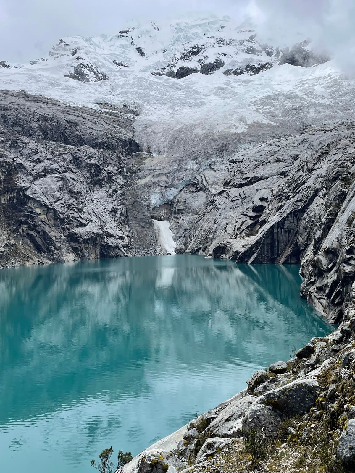 Laguna 513 - Image 1