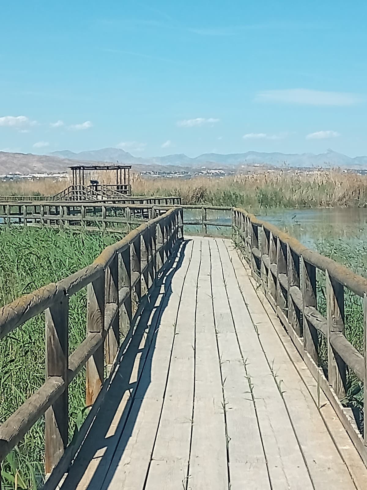 El Hondo Natural Park - Image 1