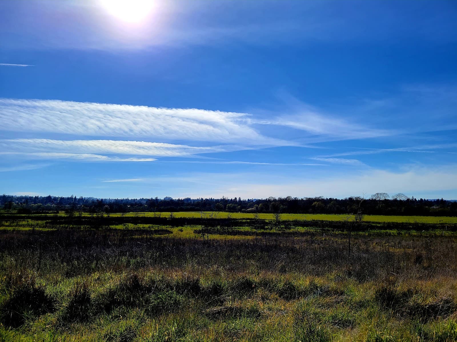 Laguna de Santa Rosa Trail - Image 1