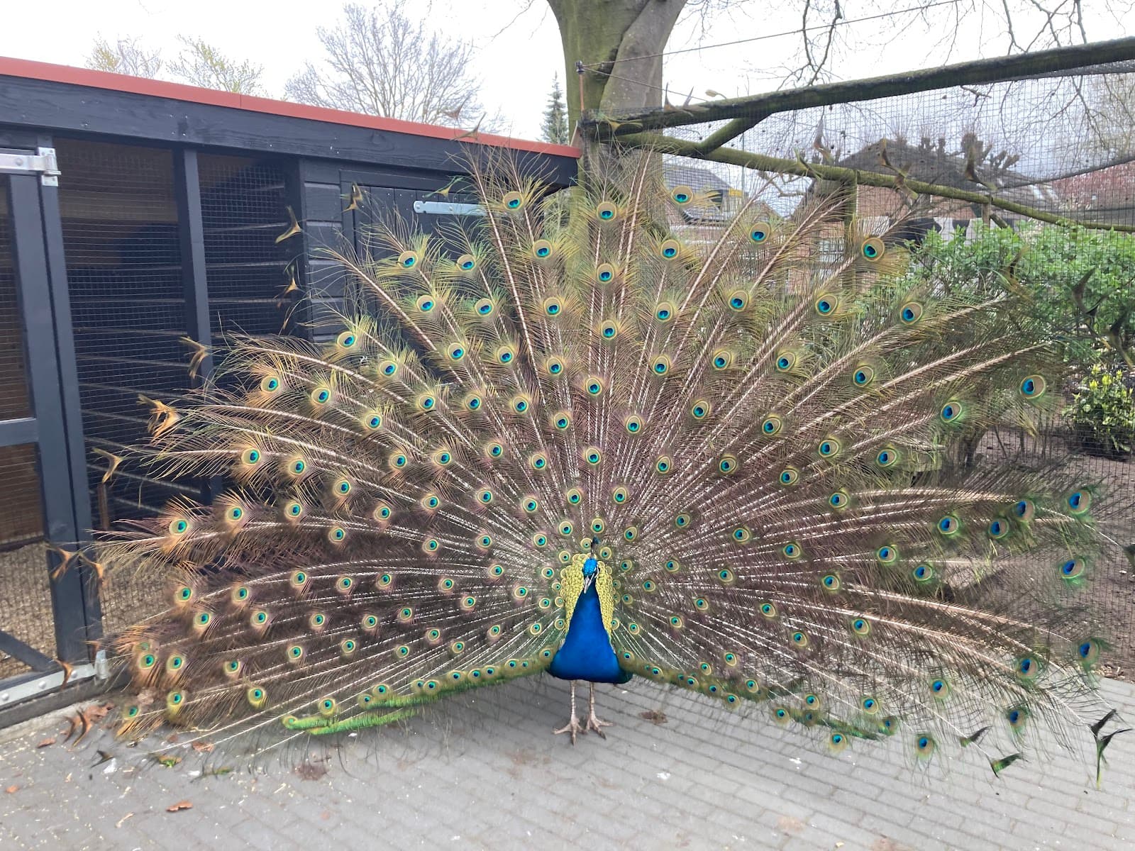 Stadsboerderij De Vosheuvel - Image 1