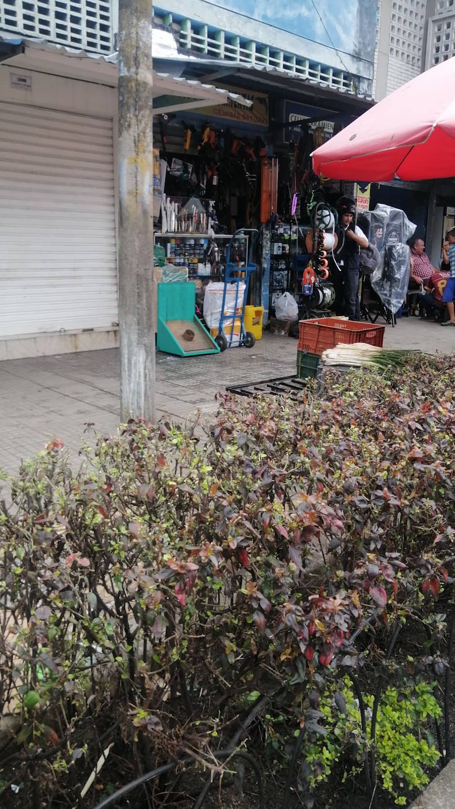 Local Farmer's Market Vibe