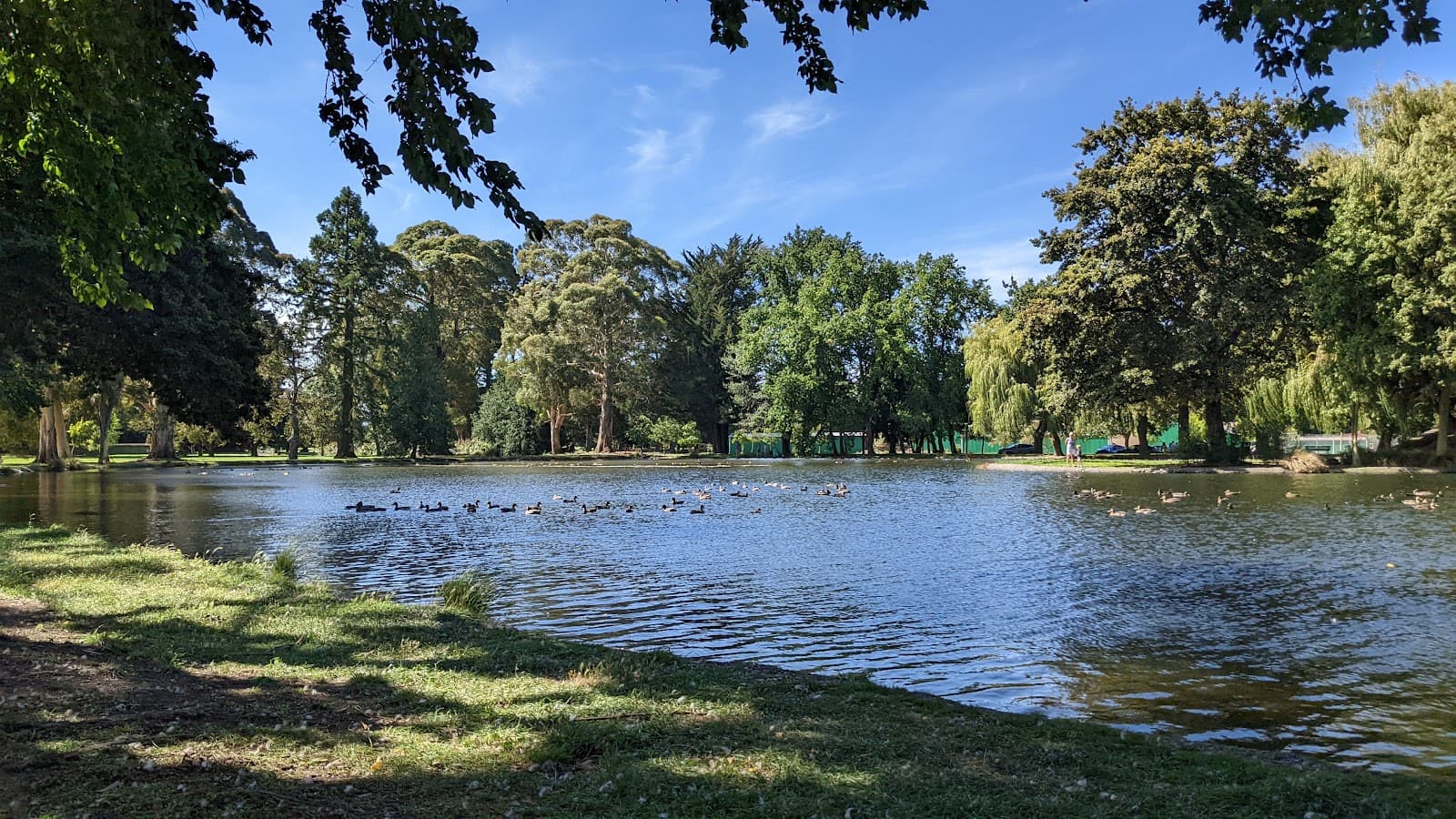 Tinwald Domain - Image 1