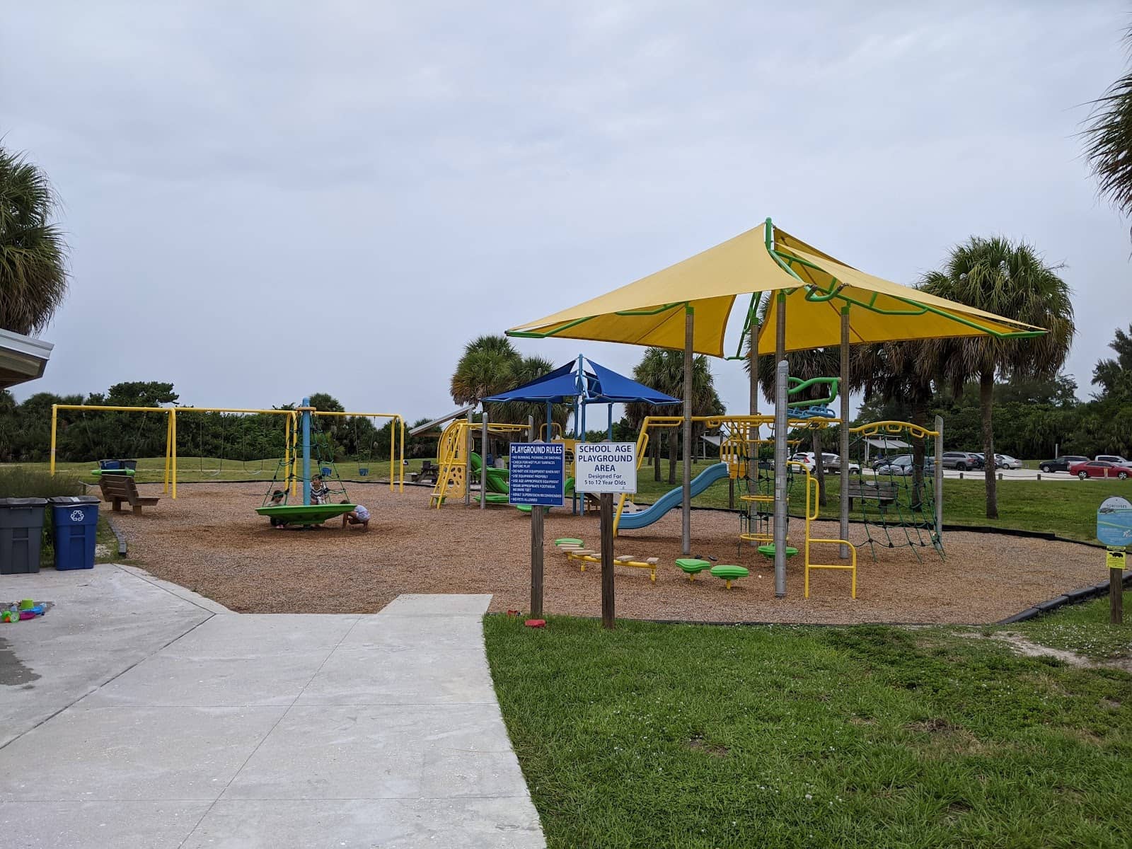 Seashell & Shark Tooth Hunting