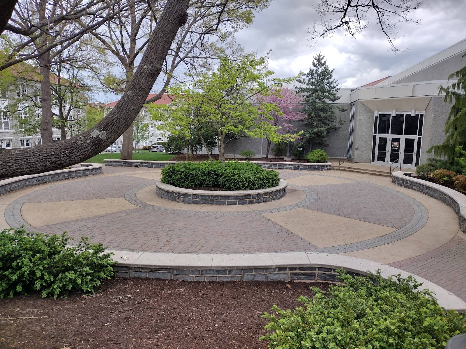 Night Sky Demonstrations