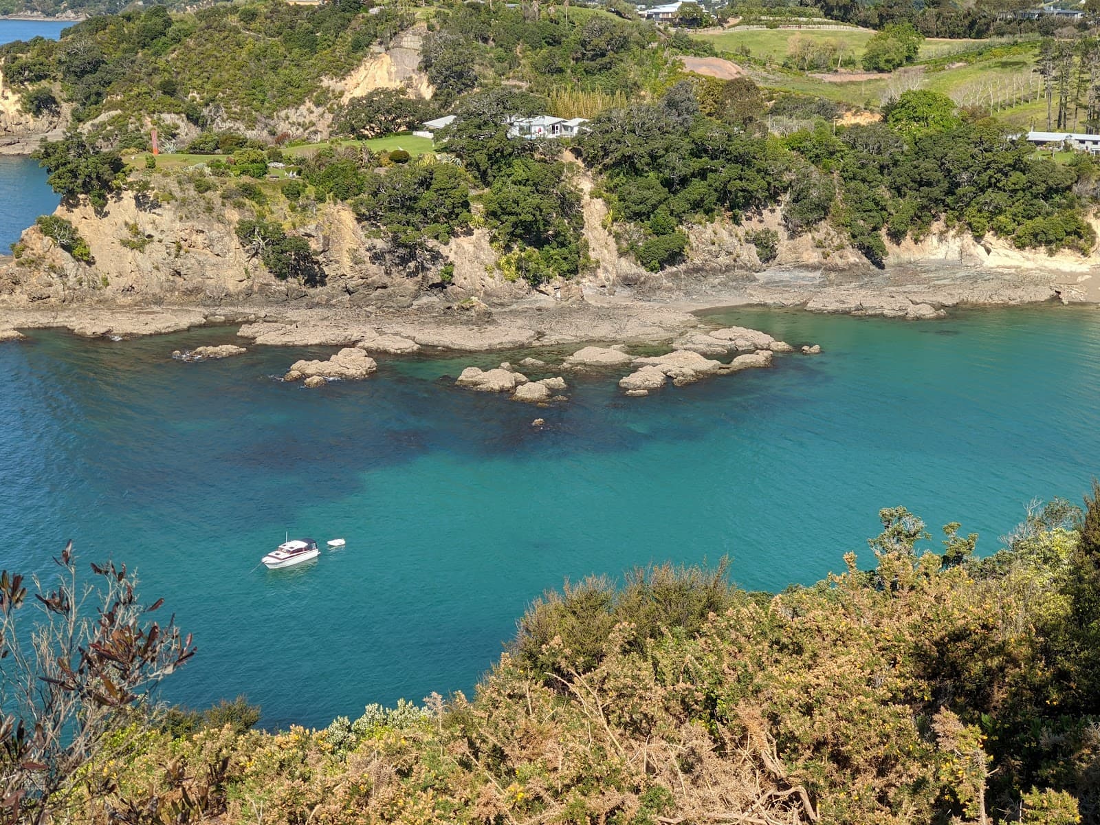 Kuakarau Bay Forest Reserve - Image 1